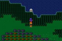 dragonquest5_makai_hune_rula_point_wiki.jpg